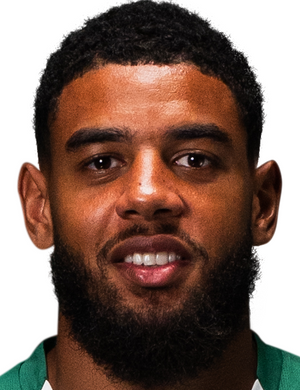 Willem Geubbels